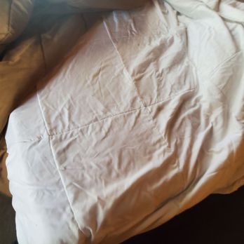 Bear Creek Resort - Its hard to see but crums all over the bed - Guest Houses Near Me - Big Bear Lake, California Bear Creek Resort - Its hard to see but crums all over the bed - Guest Houses Near Me - Big Bear Lake, California