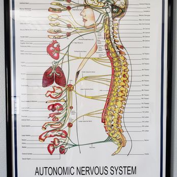 Back to Care Chiropractic - Sharing is caring :) - Chiropractors Near Me - Buena Park, California Back to Care Chiropractic - Sharing is caring :) - Chiropractors Near Me - Buena Park, California