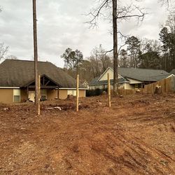 Adkins Tree Professionals - Removing several pine trees so homeowner can create a outdoor fire pit area!
