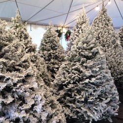 Colley Tree Farm