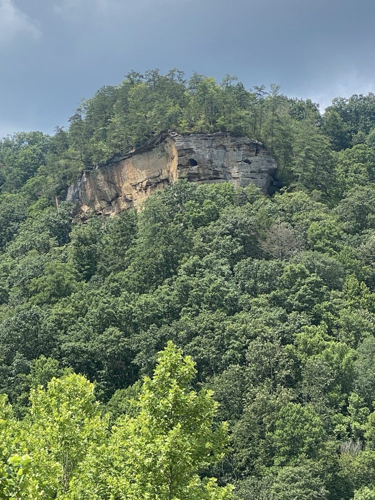 daniel boone national forest Logo