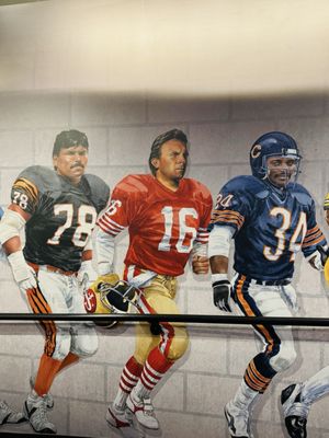 Pro Football Hall of Fame by null