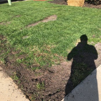 TruGreen Lawn Care - Front yard damage - Lawn Services Near Me - Indian Trail, North Carolina TruGreen Lawn Care - Front yard damage - Lawn Services Near Me - Indian Trail, North Carolina