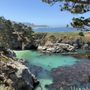 Bird Island Trail