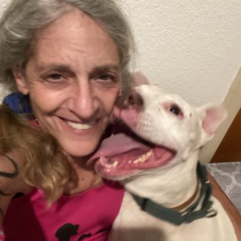 Good Dog Training - Pet Training Near Me - Austin, Texas Good Dog Training - Pet Training Near Me - Austin, Texas