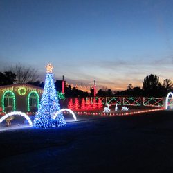 Arizona Christmas Lights - Custom Synchronized Light Show