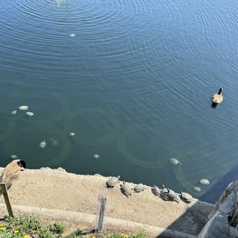 Heritage Park - Parks Near Me - Cerritos, California