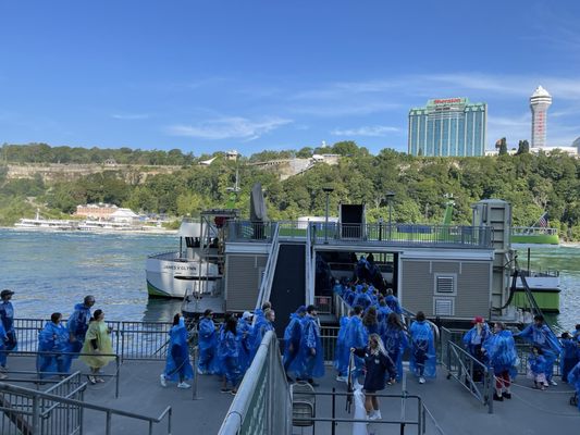 Maid of the Mist by null