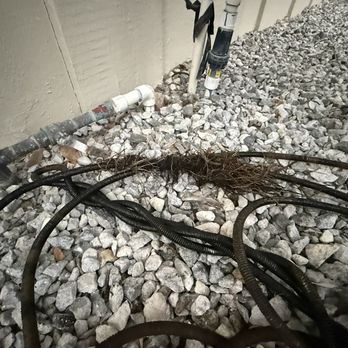 Koko Drains - Metal snake with roots attached. - Plumbing Near Me