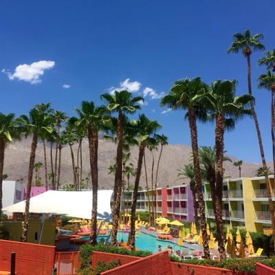 The Saguaro Palm Springs by null