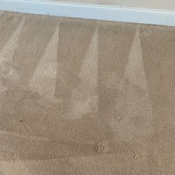 A Carpet's Dream