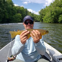 Johnson City Fly Fishing Company - Fly fish for trout in the best rivers in the Country here in East Tennessee.