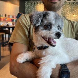 Horizon Pet Supply - Puppy
