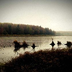 Black Moshannon State Park - Black Moshannon State Park. Pennsylvania.