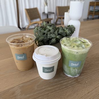 Tend Coffee - caramel latte, cappuccino, and strawberry matcha! was so good and the vibes are amazing here. my favorite coffee shop in SA! - Coffee & Tea Near Me - San Antonio, Texas Tend Coffee - caramel latte, cappuccino, and strawberry matcha! was so good and the vibes are amazing here. my favorite coffee shop in SA! - Coffee & Tea Near Me - San Antonio, Texas