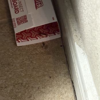 Sonoma Grande Apartments - More roaches - Apartments Near Me - Tulsa, Oklahoma Sonoma Grande Apartments - More roaches - Apartments Near Me - Tulsa, Oklahoma