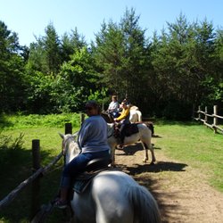 Rock Falls Riding Stable, Go Kart, and Mini Golf - Pre trail ride line up.