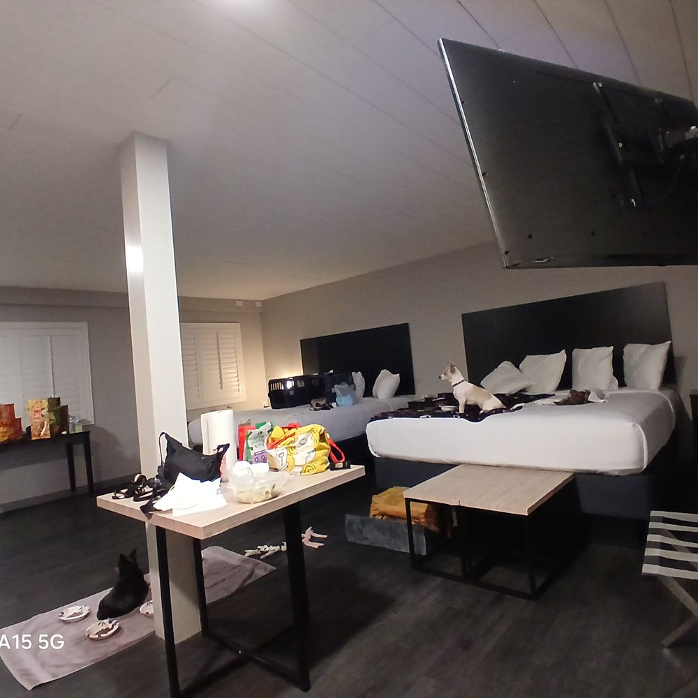 This room is massive, pic taked from kitchen area This room is massive, pic taked from kitchen area