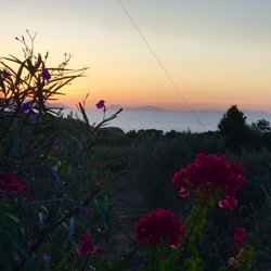 The Lemon Tree Restaurant - Sunset view from Lemon restaurant