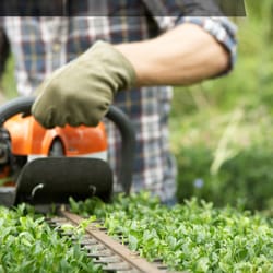 Lawn Love Lawn Care