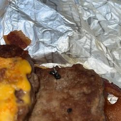 Wendy's - Fly in my burger!!!