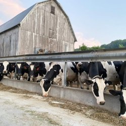Westby Cooperative Creamery