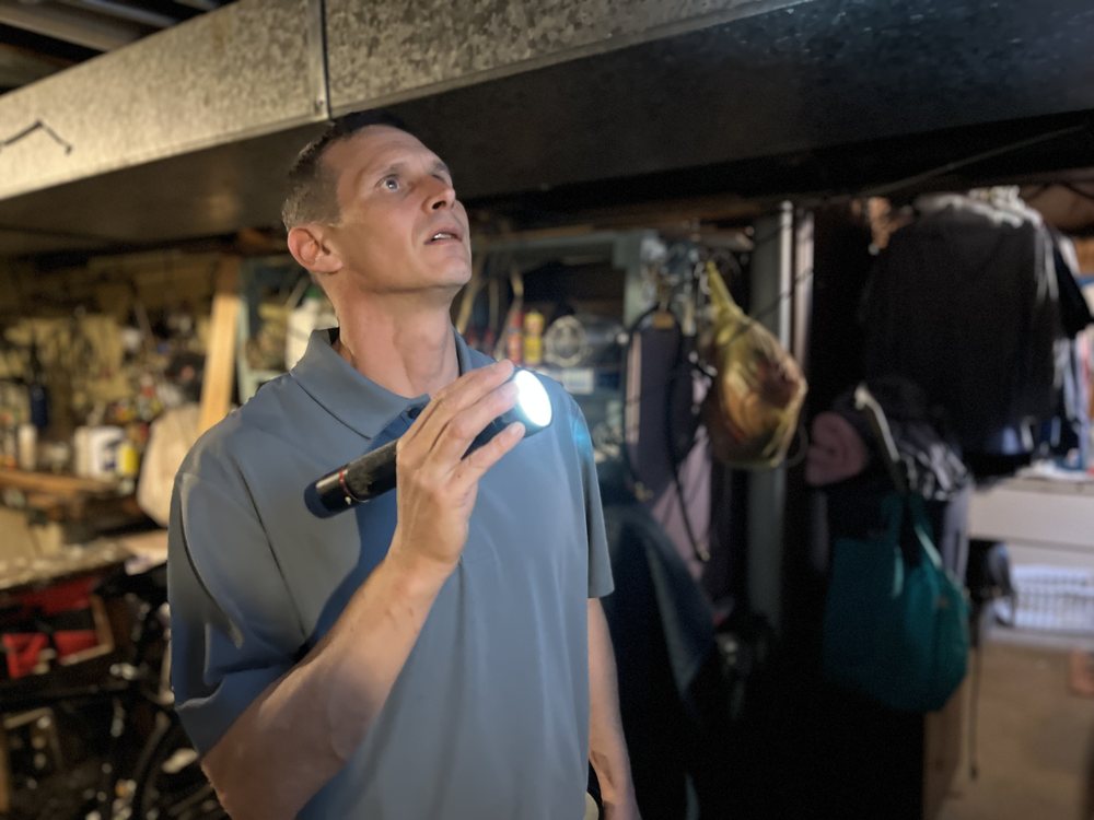 Dynamic Inspections - mold inspector in Princeton, NJ