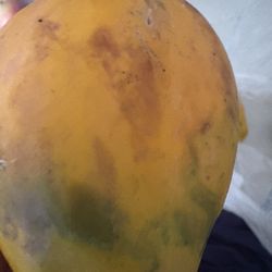 Rotten papaya number 1