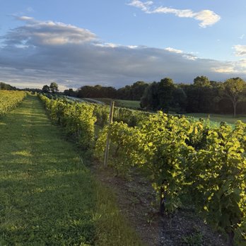 Magnanini Winery - Wine Tasting Room Near Me - Wallkill, New York Magnanini Winery - Wine Tasting Room Near Me - Wallkill, New York