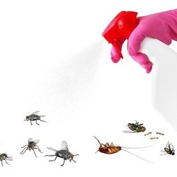 Bybee Pest Control