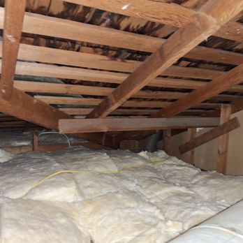 Attic Pros - Provided us with possible additional services we could add in the future to better secure and insulate our attic. - Pest Control Near Me - Oakland, California Attic Pros - Provided us with possible additional services we could add in the future to better secure and insulate our attic. - Pest Control Near Me - Oakland, California