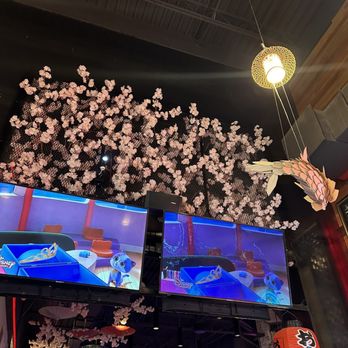 Umiya - Sushi Bars Near Me - San Antonio, Texas Umiya - Sushi Bars Near Me - San Antonio, Texas