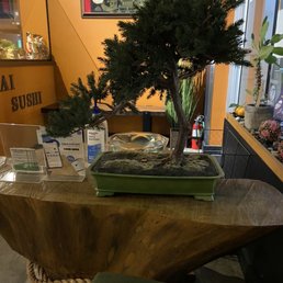 Bonsai Sushi Closed 118 Photos 45 Reviews Japanese 308 S 9th St Columbia Mo Restaurant Reviews Phone Number Menu Yelp