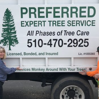 Preferred Expert Tree Service - Tree Services Near Me Preferred Expert Tree Service - Tree Services Near Me