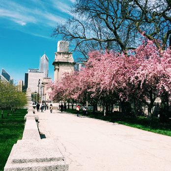 Grant Park - Spring in Grand Park - Parks Near Me - Chicago, Illinois