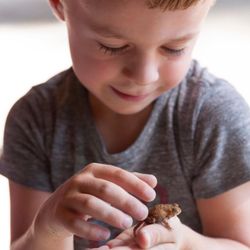 Organic Beginnings Montessori School