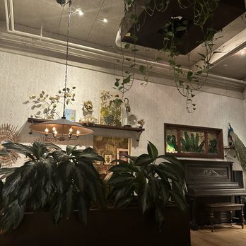 Fern Bar - Inside - Bars Near Me - Sebastopol, California