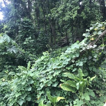 Las Paylas - Lakes Near Me - Luquillo, Puerto Rico