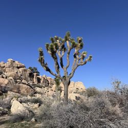 Barker Dam Trail