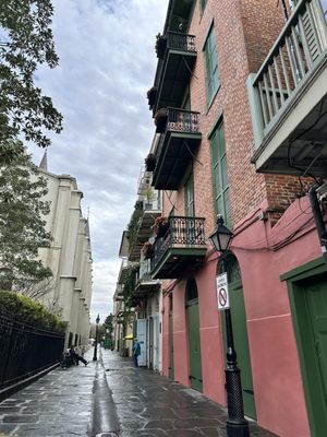 Nola Tour Guy by null