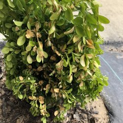 Tri City Nursery
