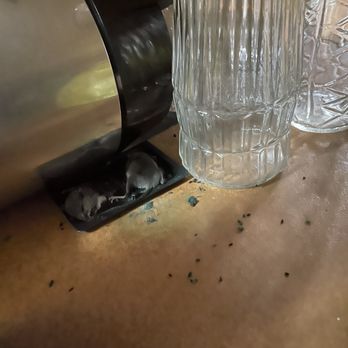 Pestech Pest Solutions - Droppings and mice on self installed glue board. - Pest Control Near Me - Ferndale, New York Pestech Pest Solutions - Droppings and mice on self installed glue board. - Pest Control Near Me - Ferndale, New York