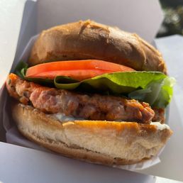 Salmon Burger