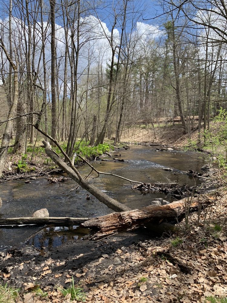 TOWNSEND PARK Updated September 2024 11 Photos 8260 6 Mile Rd NE, Rockford, Michigan