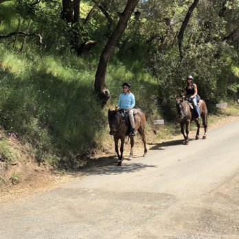 Moore Creek Park - Horse & rider heading back to parking lot 4/11/21 - Parks Near Me - Saint Helena, California Moore Creek Park - Horse & rider heading back to parking lot 4/11/21 - Parks Near Me - Saint Helena, California