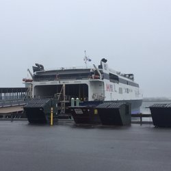 The Cat Ferry