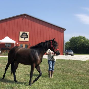 Point Labaddie Brewery - Breweries Near Me - Labadie, Missouri