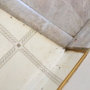 Chem-Dry Clean Masters - Carpet Cleaning Near Me