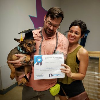 Every Dog Behavior and Training - Community Service/Non-Profit Near Me - Austin, Texas Every Dog Behavior and Training - Community Service/Non-Profit Near Me - Austin, Texas