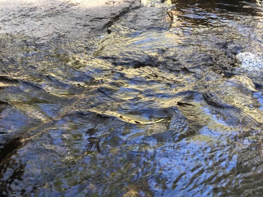 Lembert Dome by null